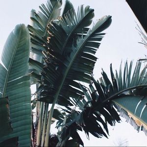 Meet your Posher, Jaz